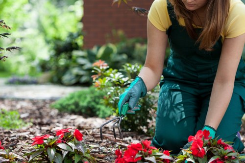 Safety measures during hedge trimming in Gunnersbury